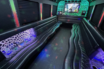 Skokie Limo Bus Interior